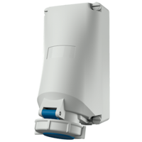 Socket for through wiring