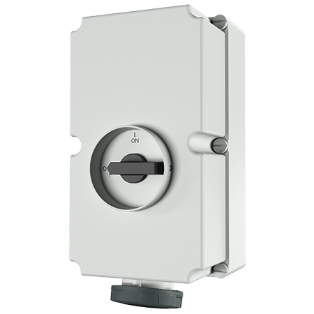 MENNEKES Wall mounted socket DUO 6015A